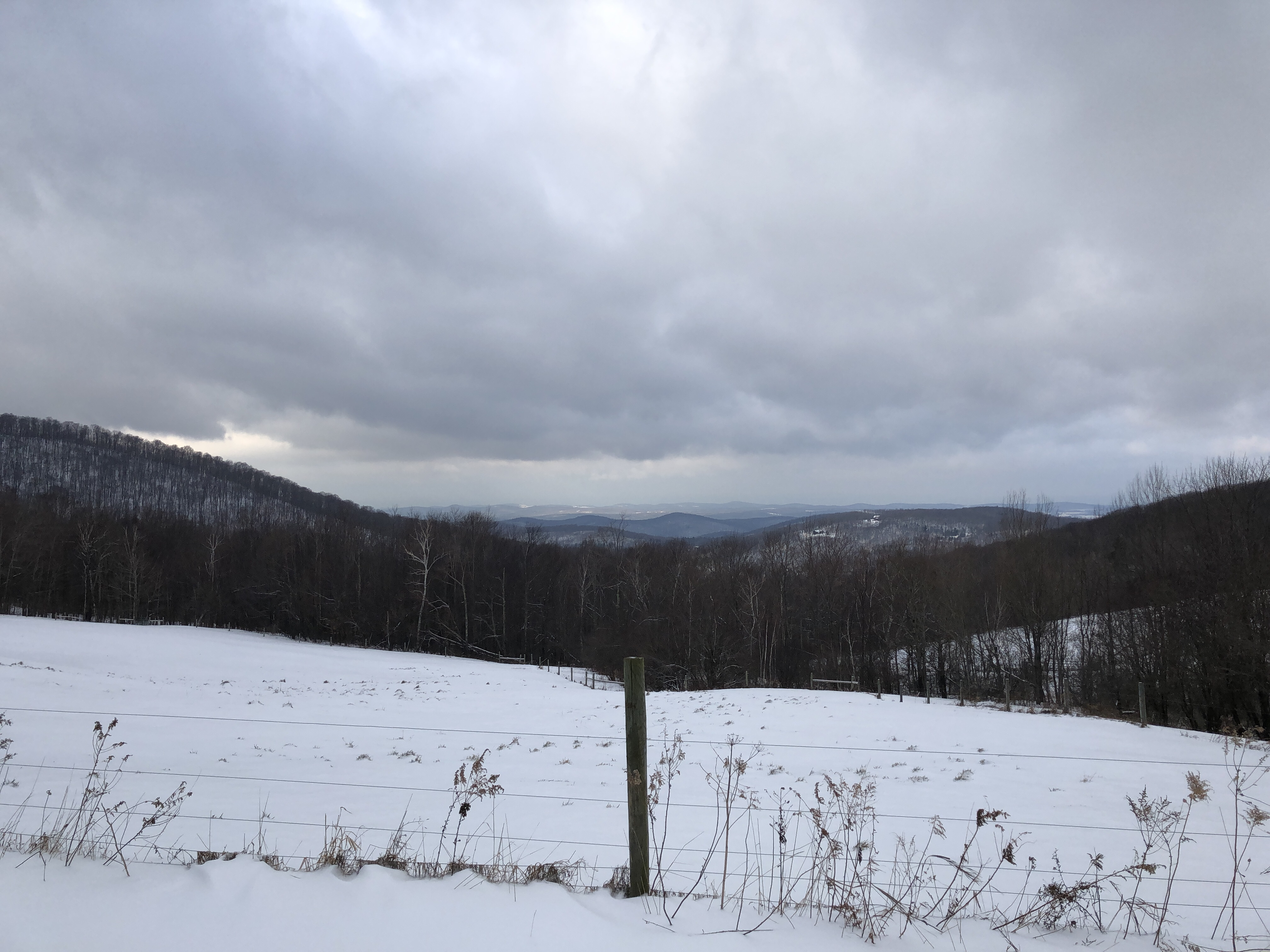 Hike 'The Merck'