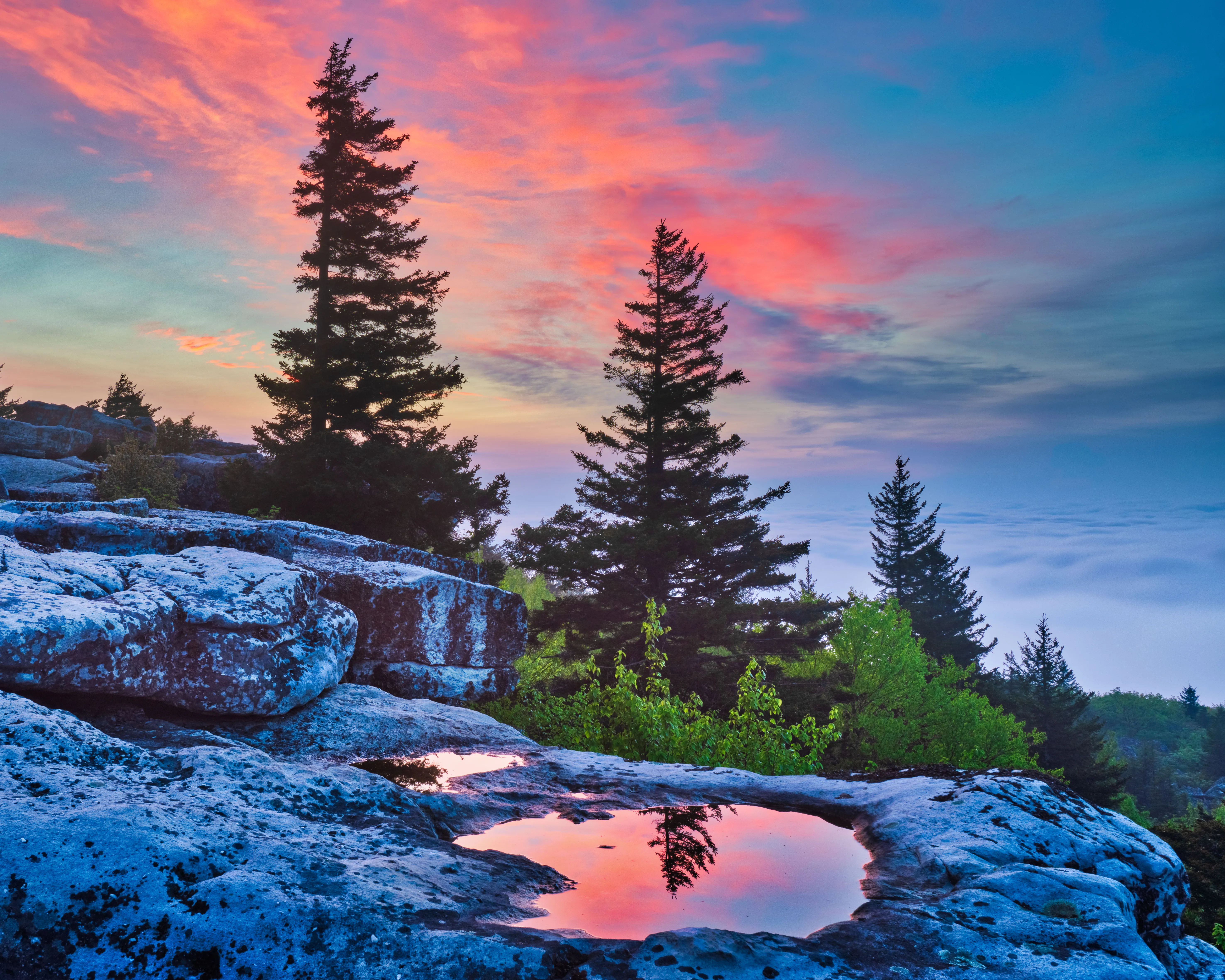 Photograph Bear Rocks Preserve