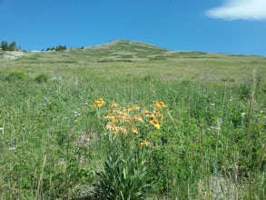 Hike the Brian Head Loop Trail