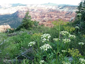 Hike the Spectra Point and Rampart Overlook Trails