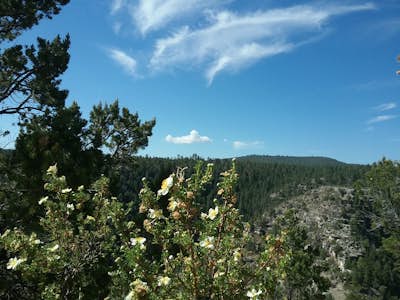 Hike the Rim Trail at Walnut Canyon National Monument