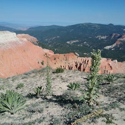 Hike the Spectra Point and Rampart Overlook Trails