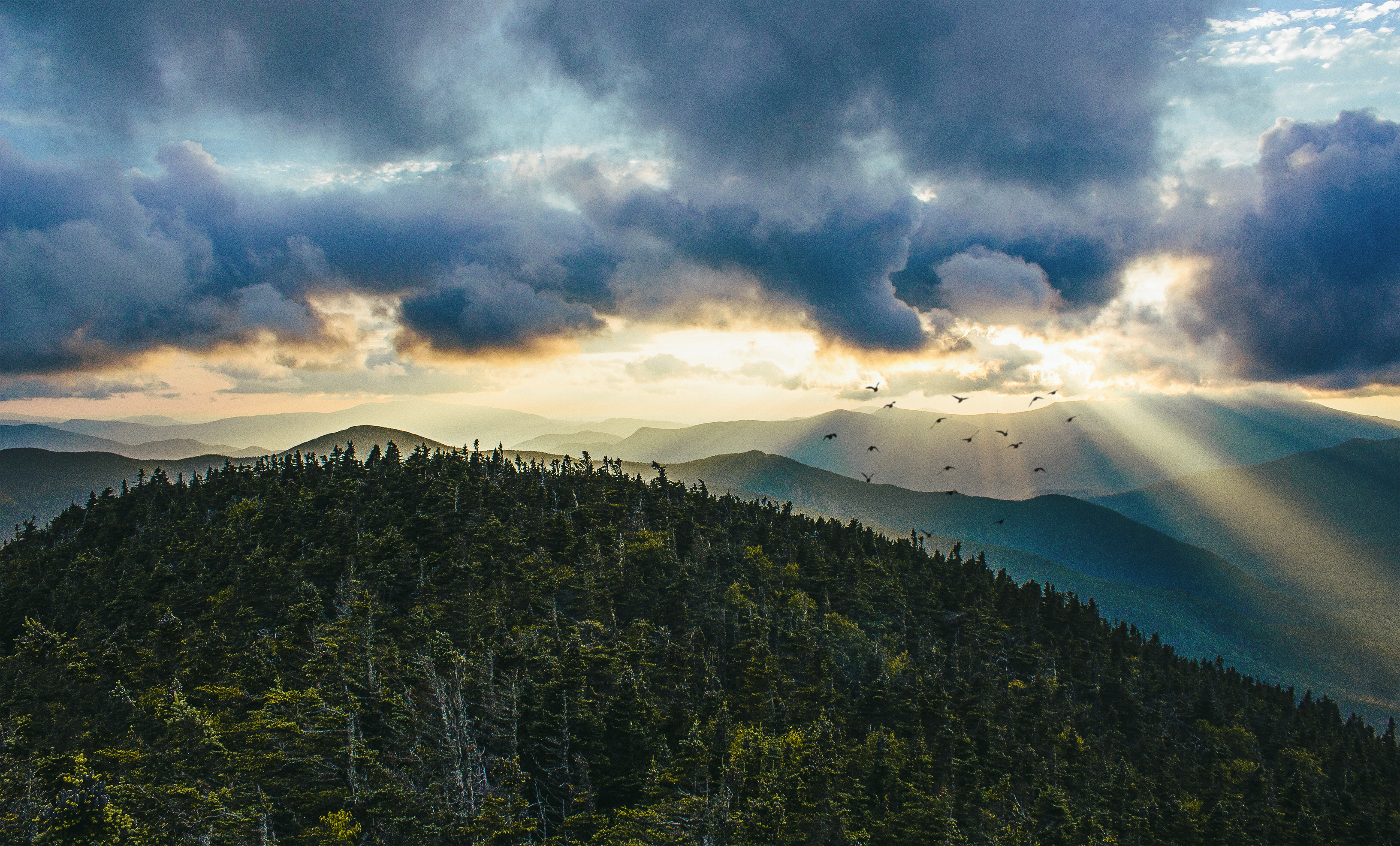 Mt. Carrigain via Signal Ridge