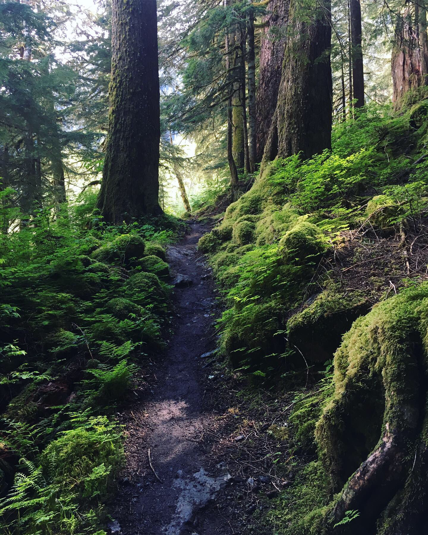Backpack to Enchanted Valley Chateau
