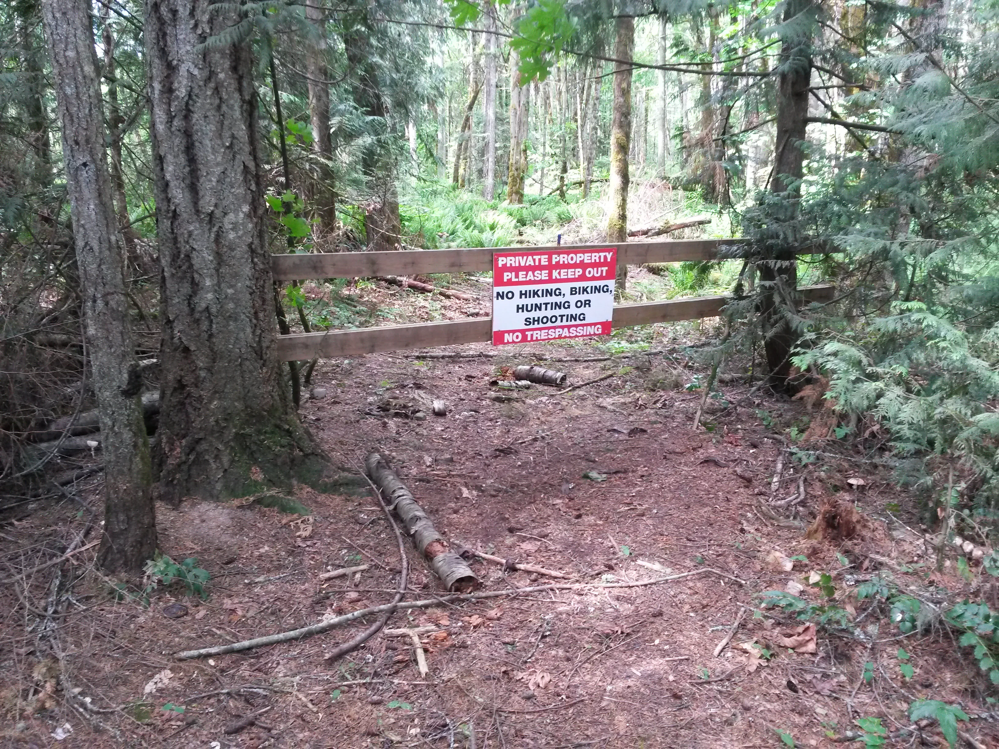 Hike Mount Prevost