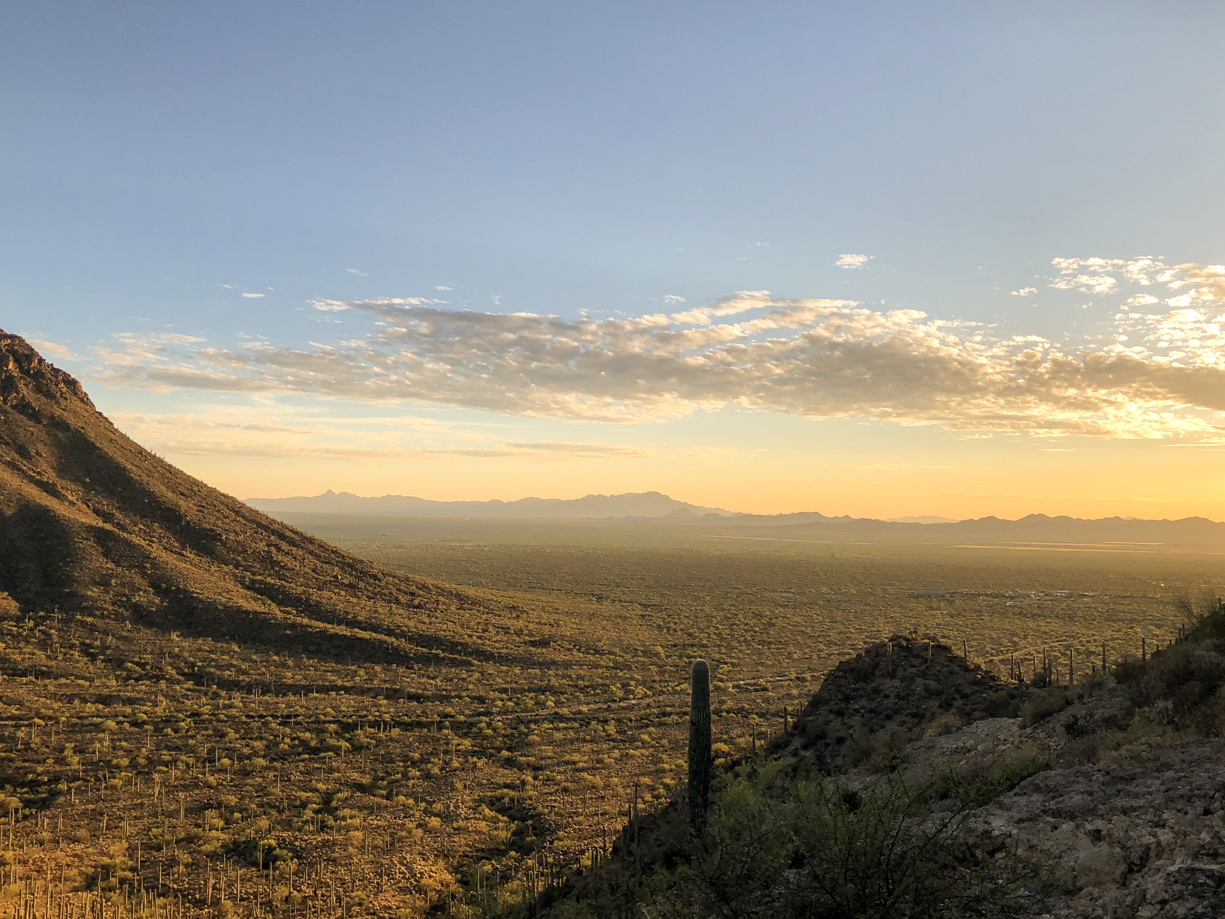Gates Pass Scenic Lookout