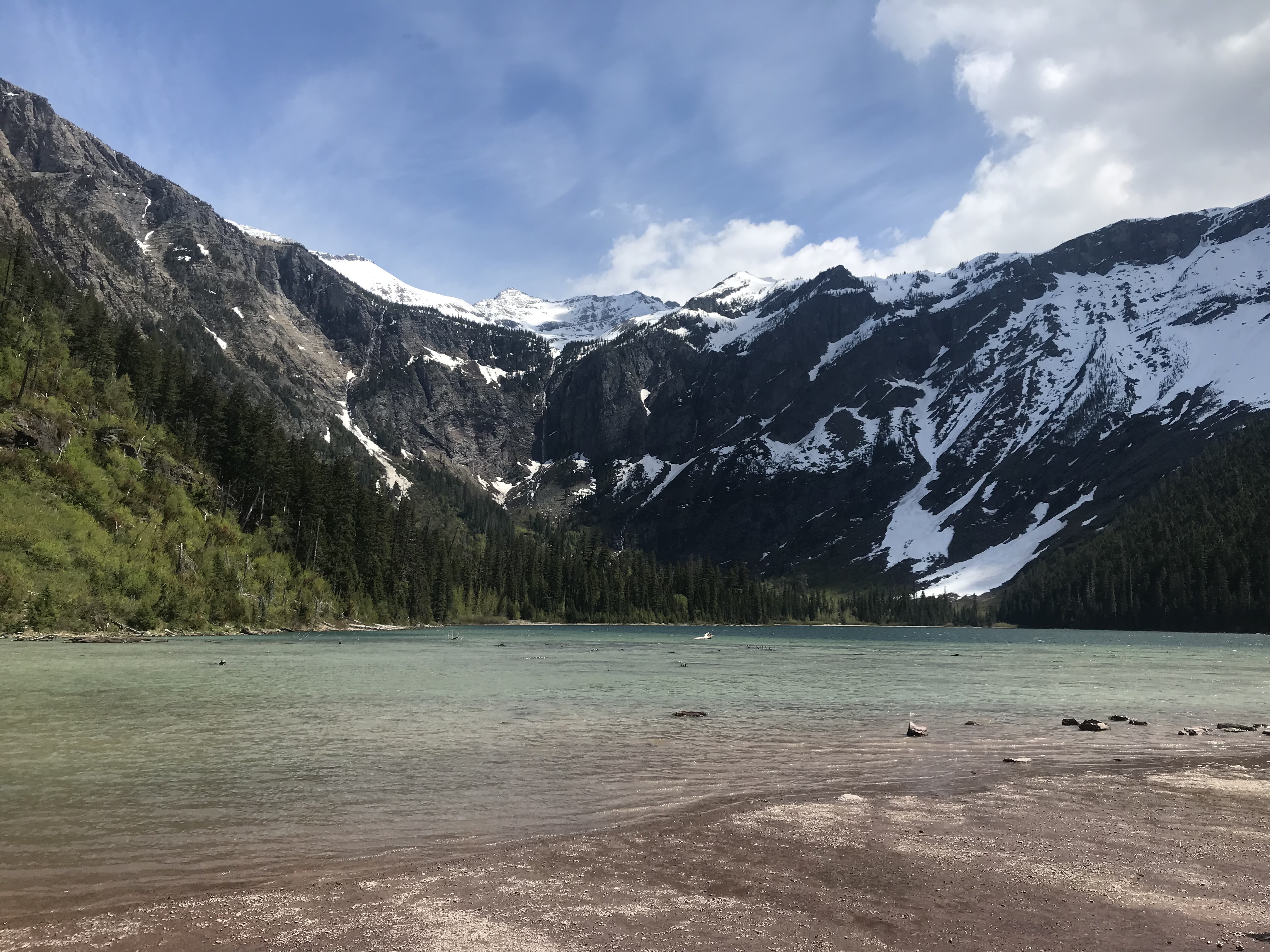 Avalanche Lake via Trail of Cedars