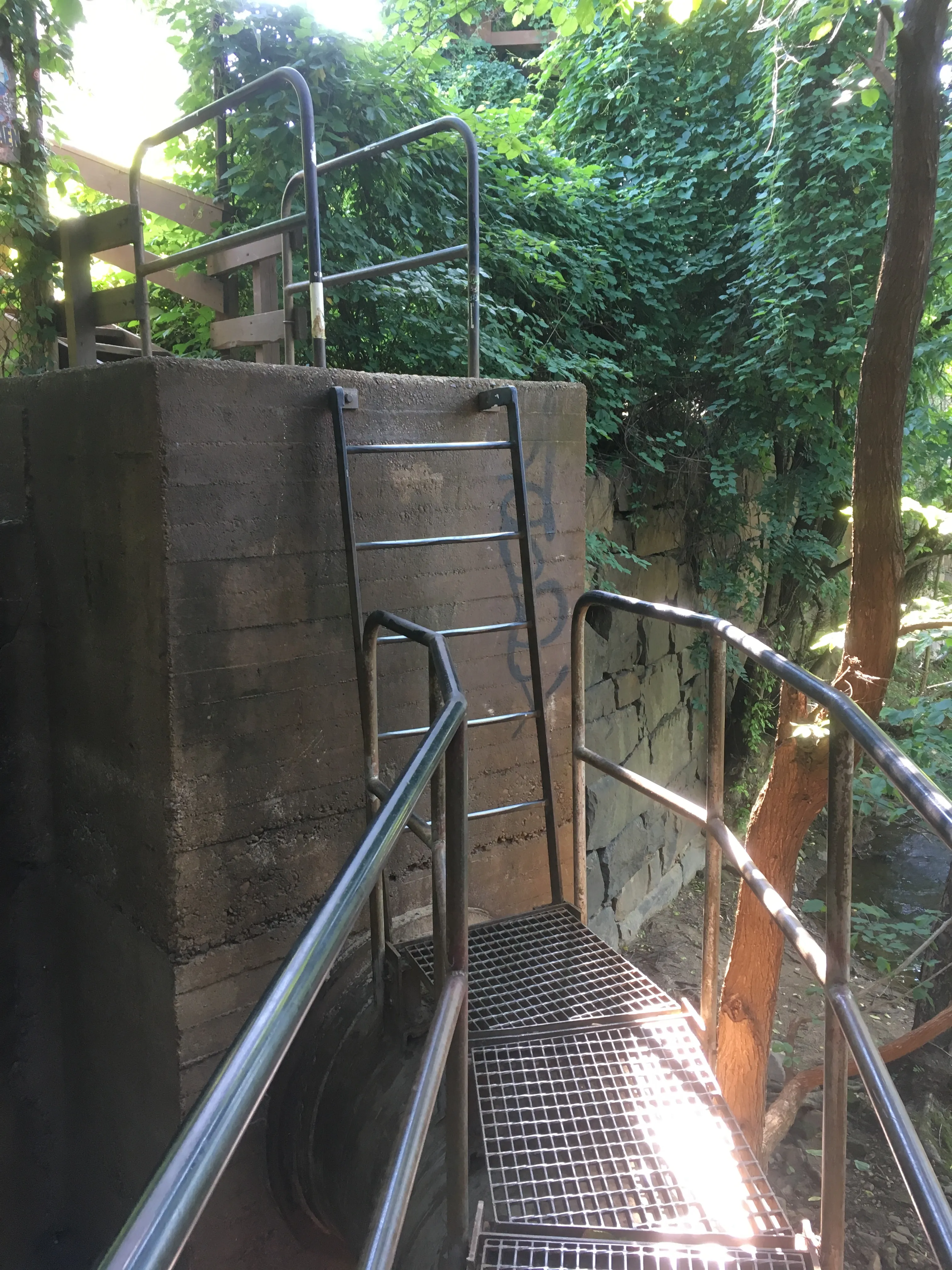 Explore the James River Pipeline in Richmond