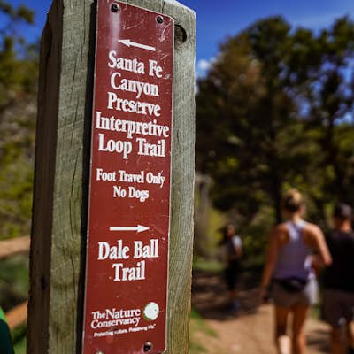 Trail Run the Dale Ball Trails
