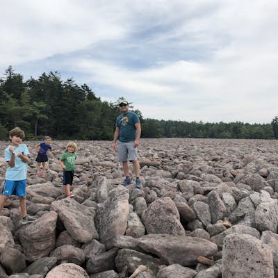 Explore Boulder Field in Hickory Run State Park