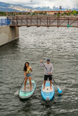 Stand-Up Paddleboard at the Sparks Marina