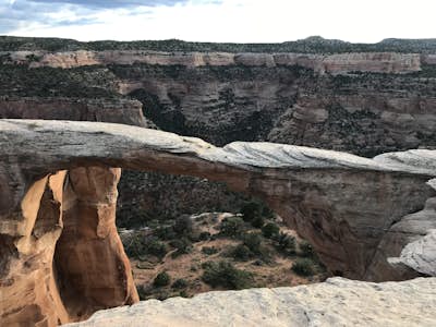 Hike the Rattlesnake Arches Trail in Black Ridge Wilderness
