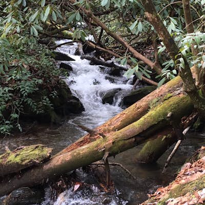 Hike the Juney Whank Falls Loop