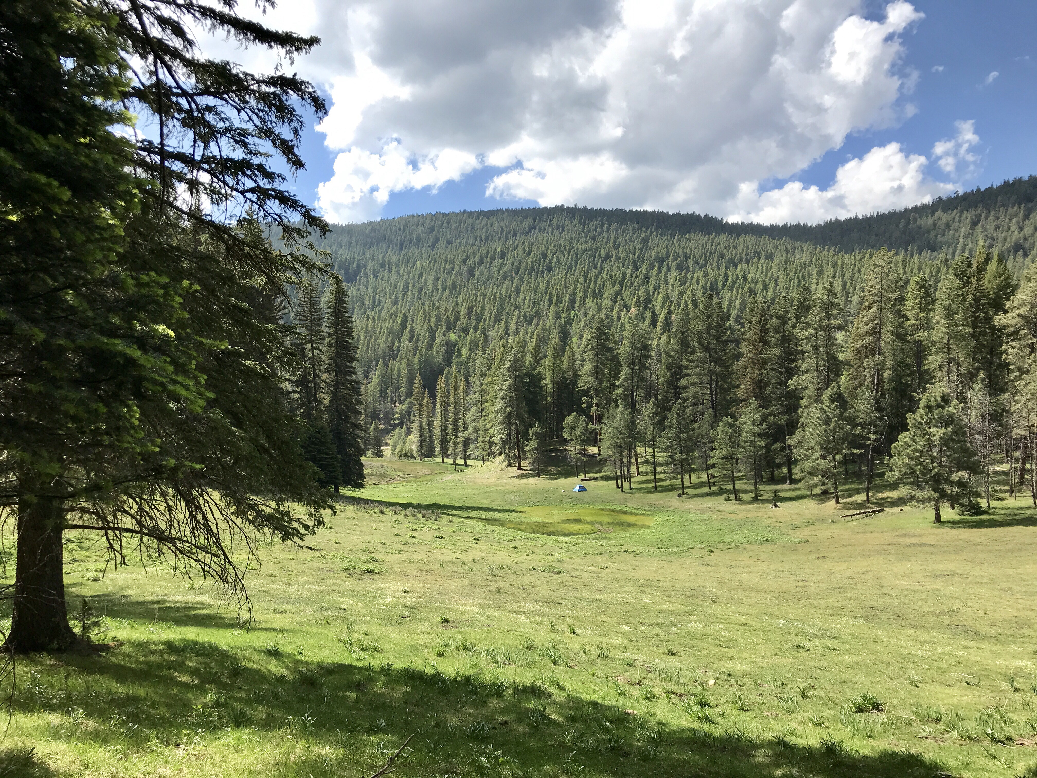 Camp at Bluff Springs