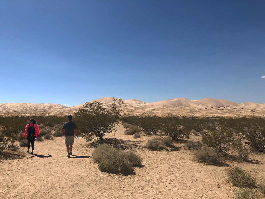 Kelso Dunes