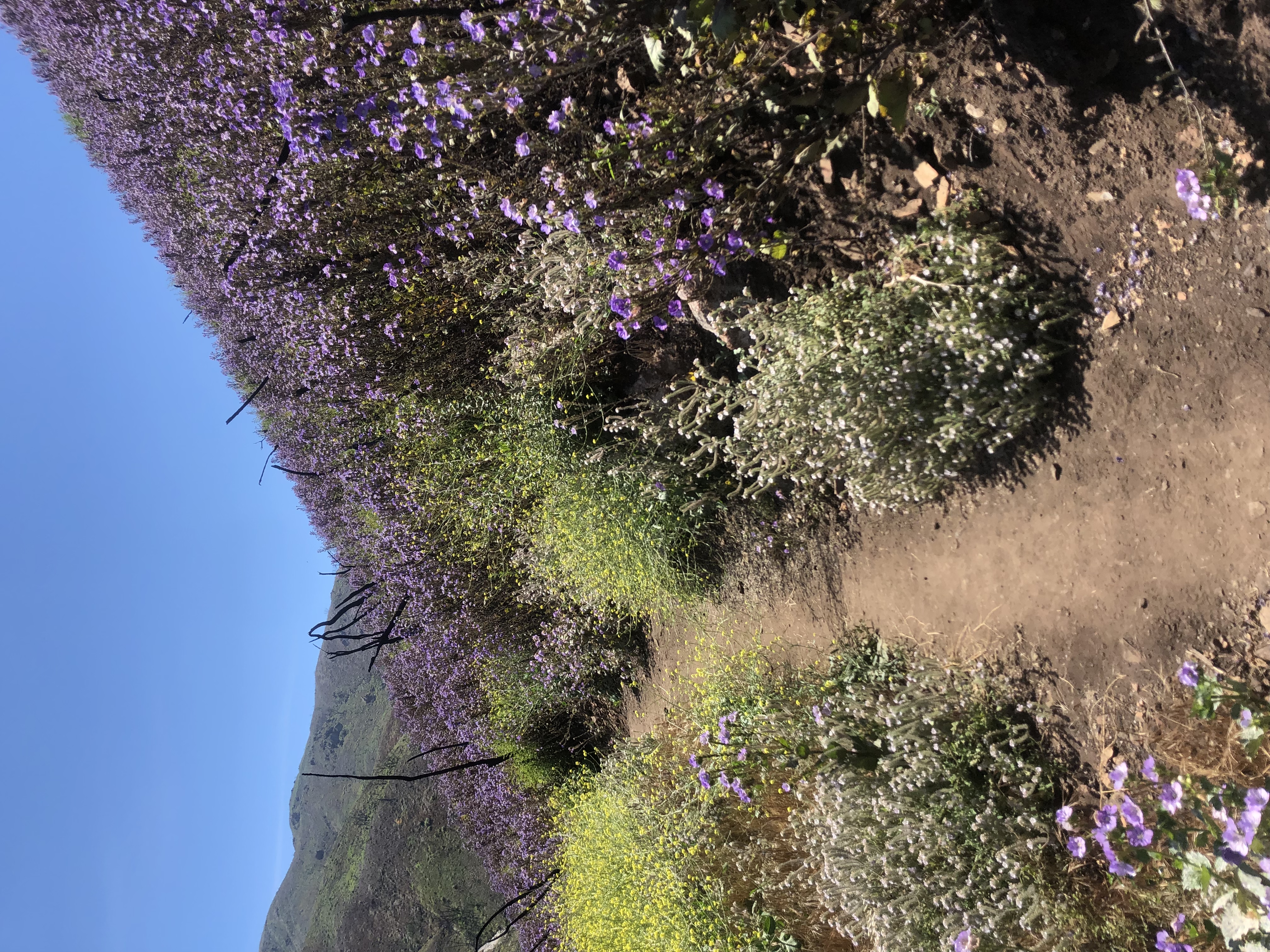 Newton & Zuma Canyon Falls