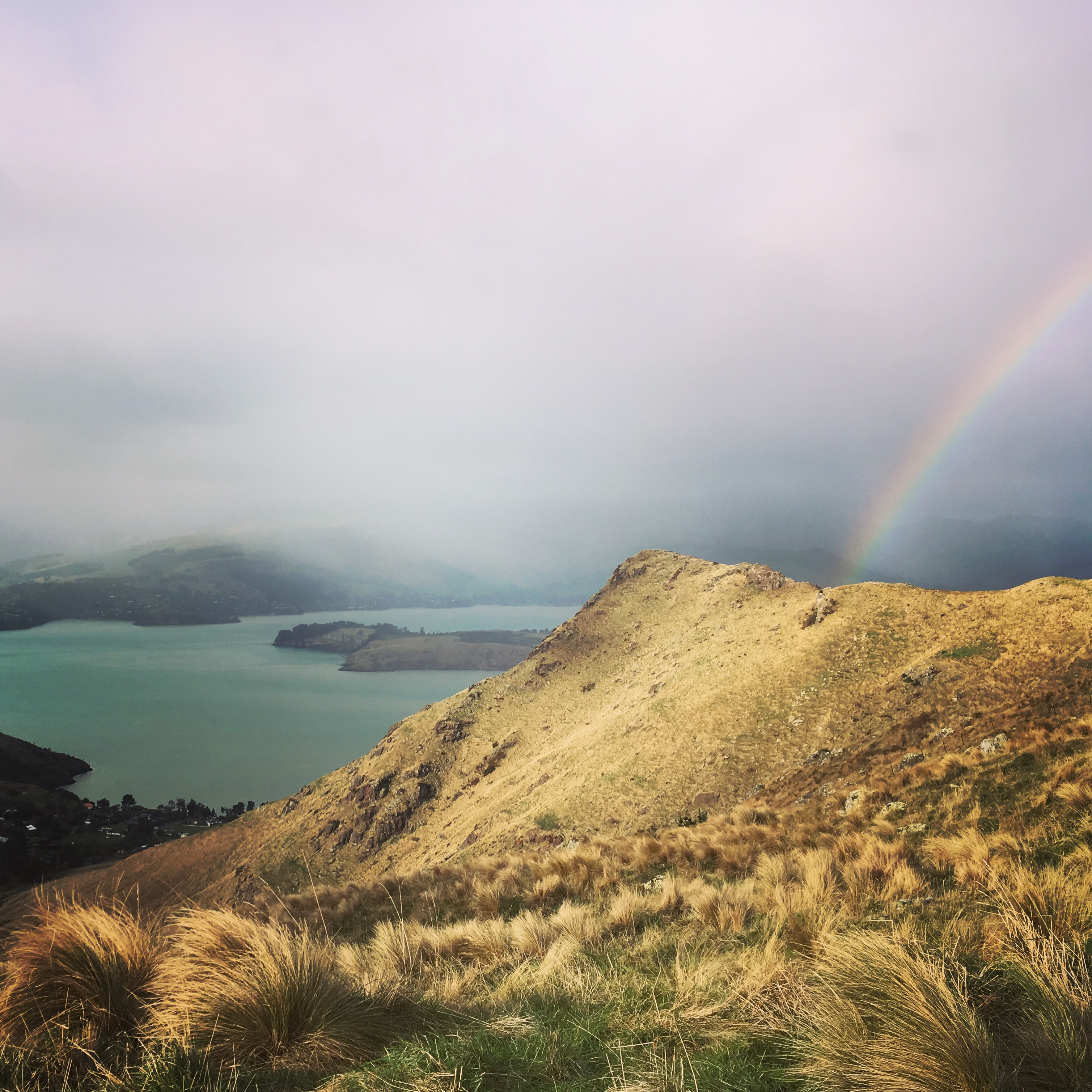 Bike and Hike the Port Hills (Christchurch)