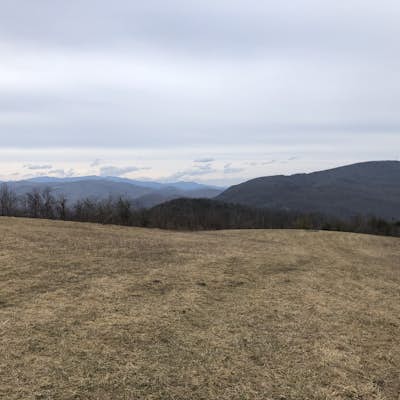 Hike the Trombatore Trail to Blue Ridge Pastures
