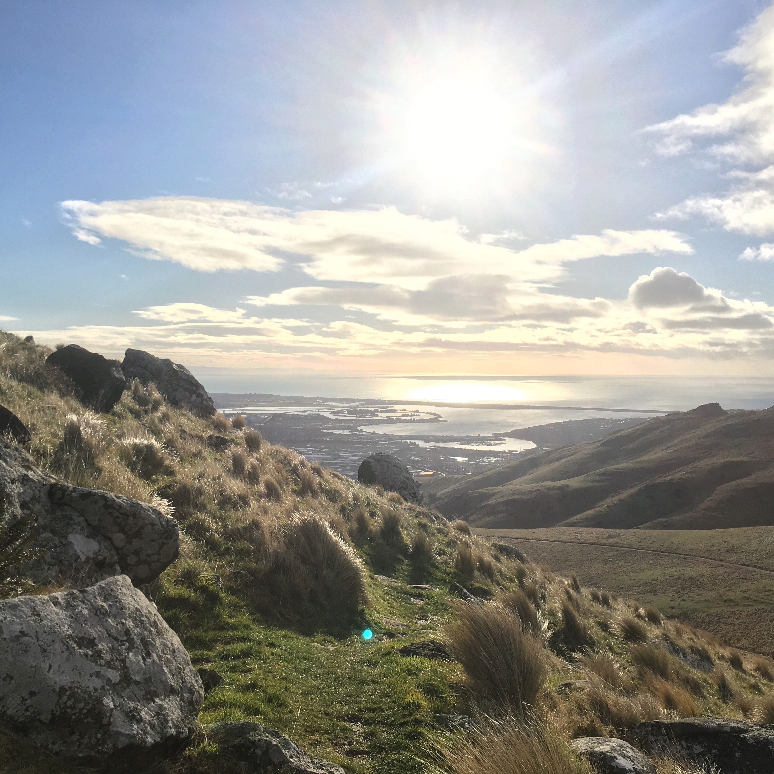 Bike and Hike the Port Hills (Christchurch)