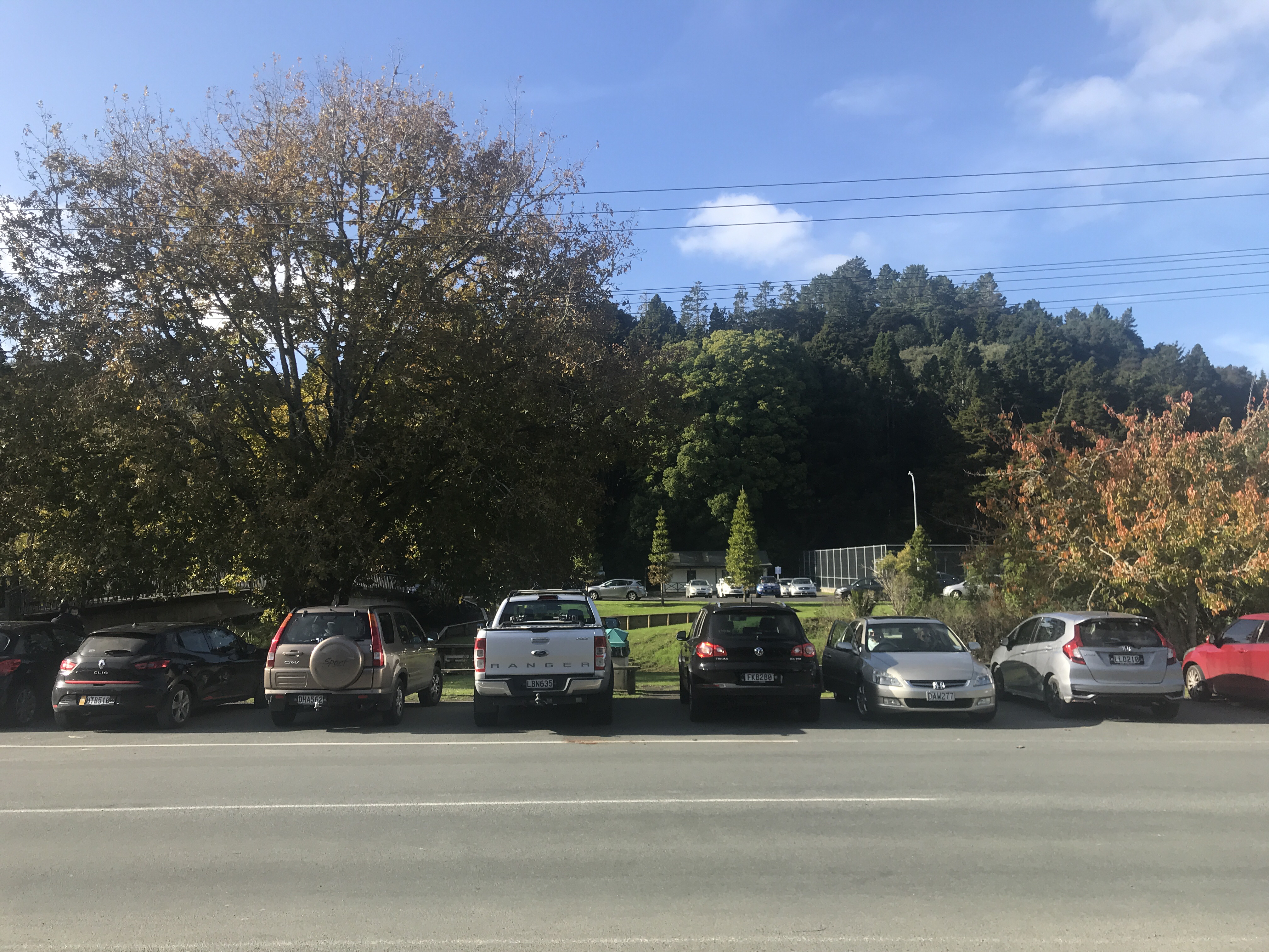 Paddle on the Puhoi River
