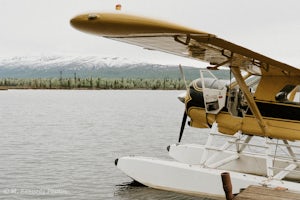 An Alaskan Adventure: Stories from the Bush