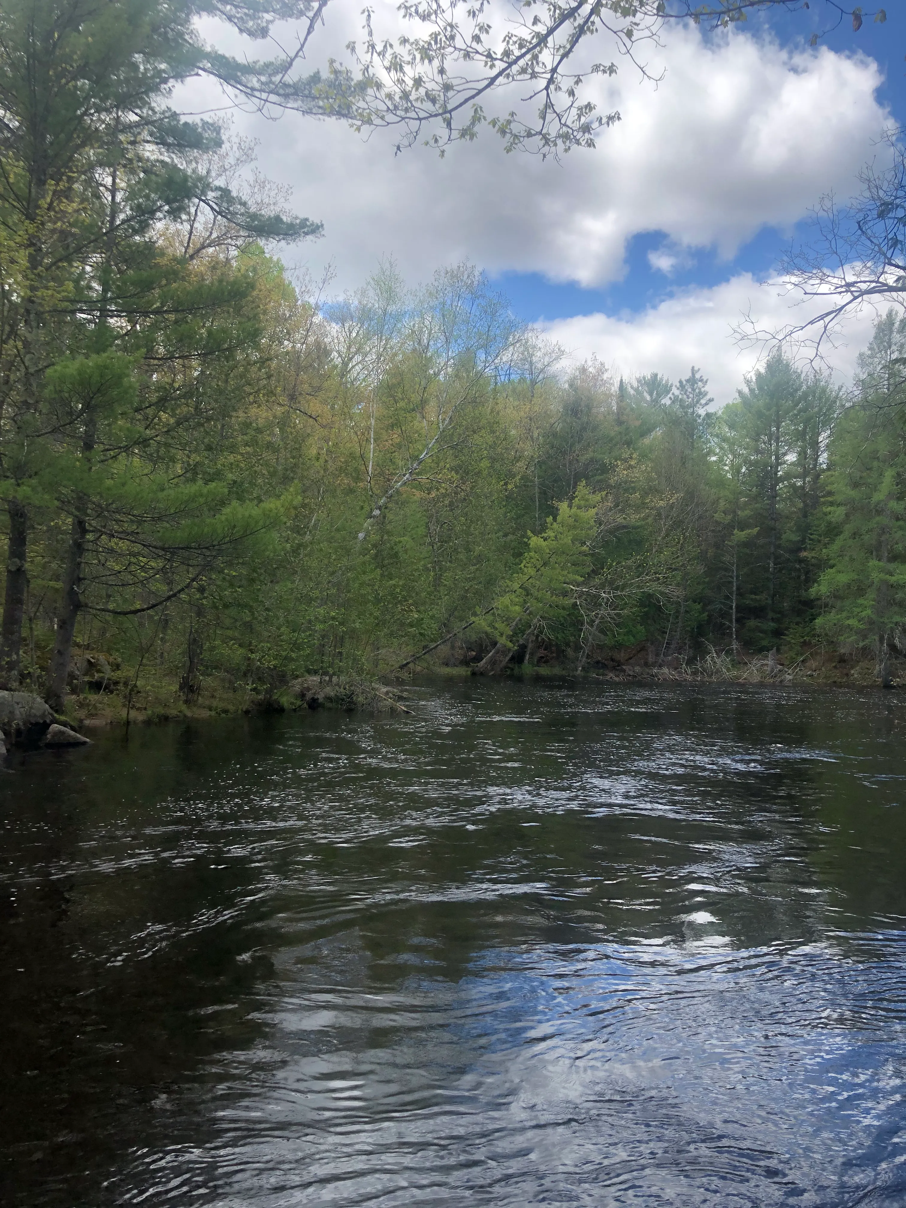 Explore Dave's Falls