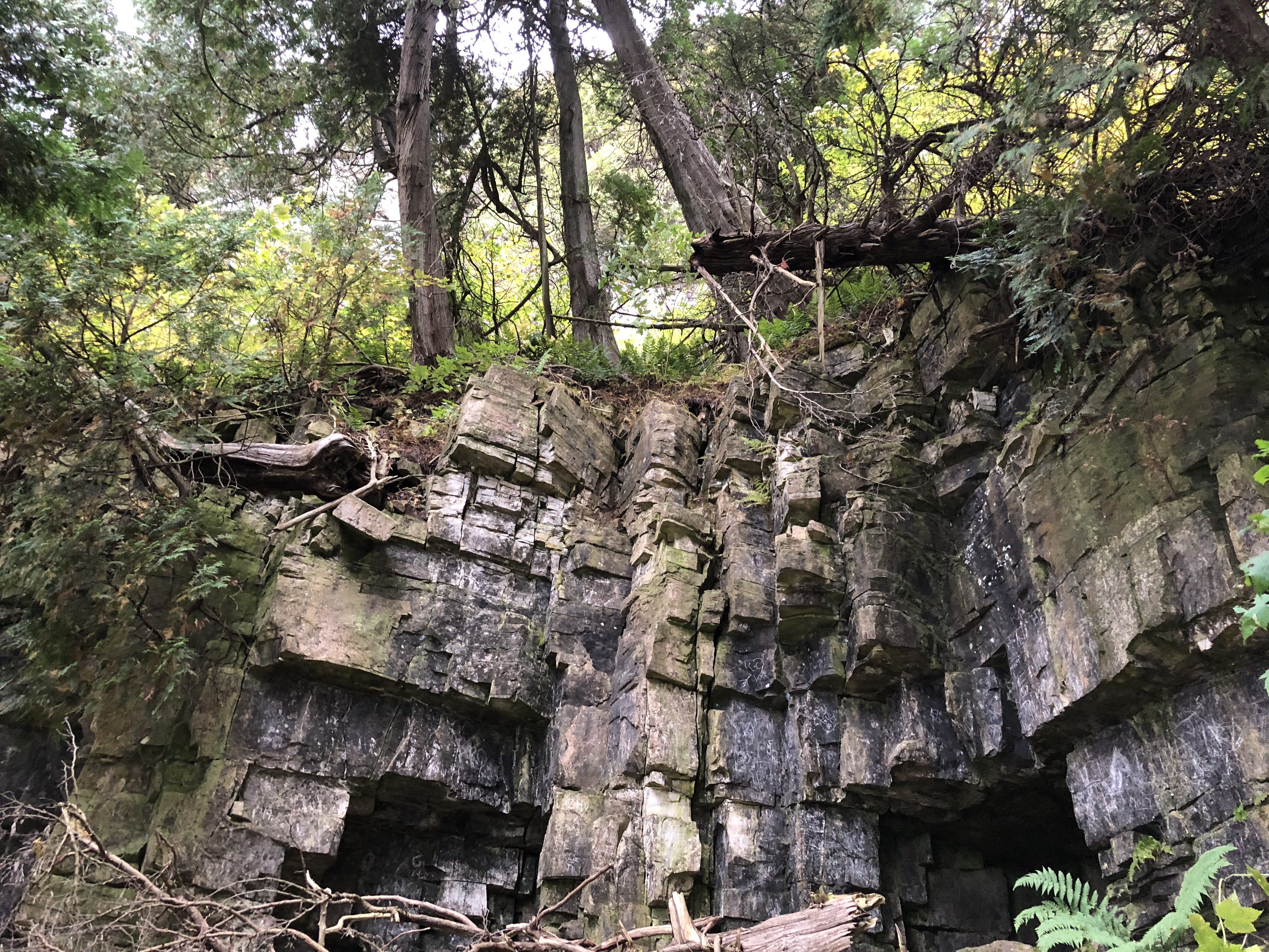 Hike the Bluffs on Eagle Trail in Door County's Peninsula State Park
