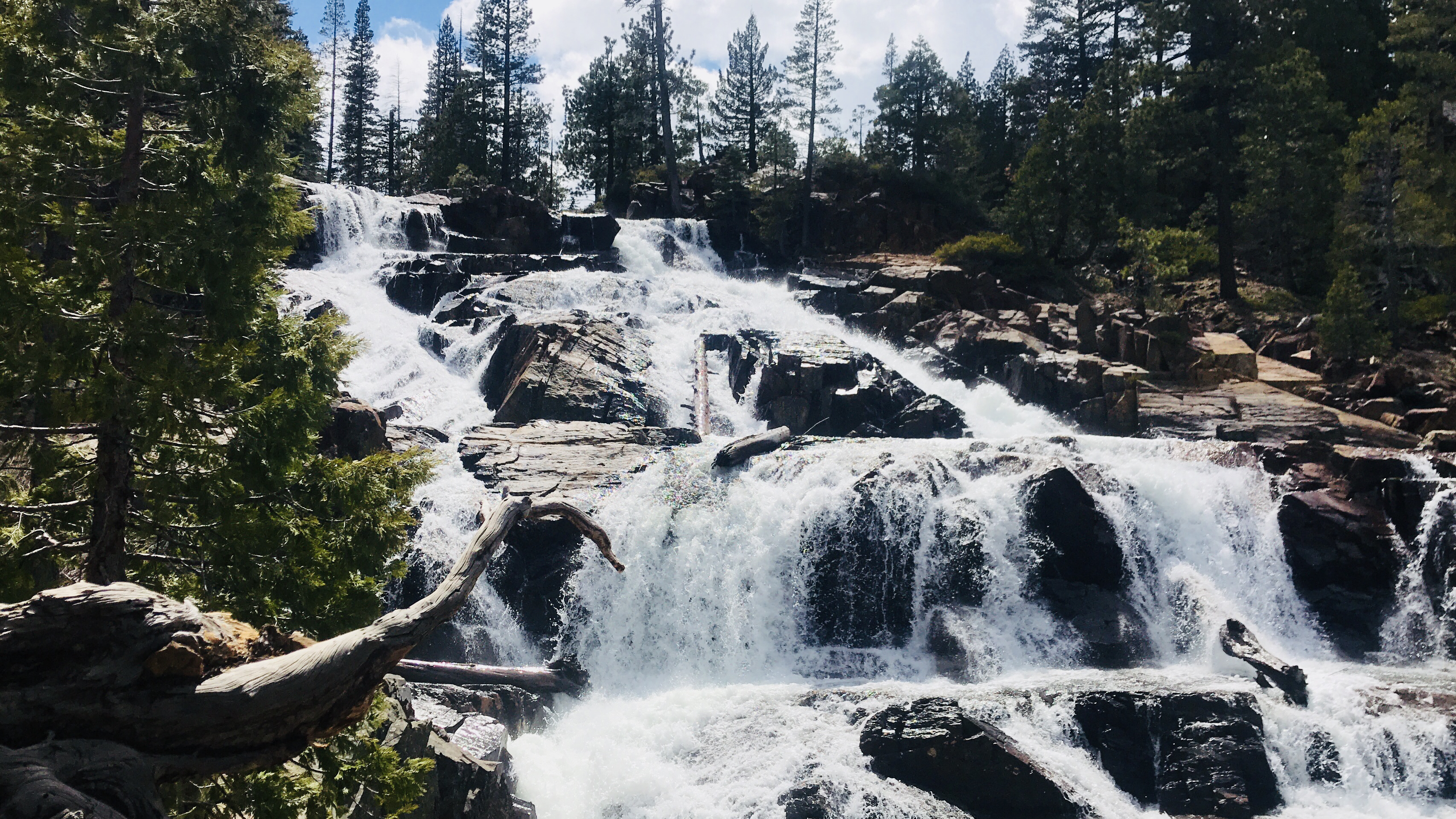 Photograph Fallen Leaf Lake's Cascading Falls