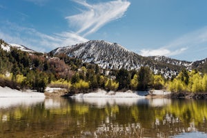 Church's Pond via the Jones-Whites Creek Trail