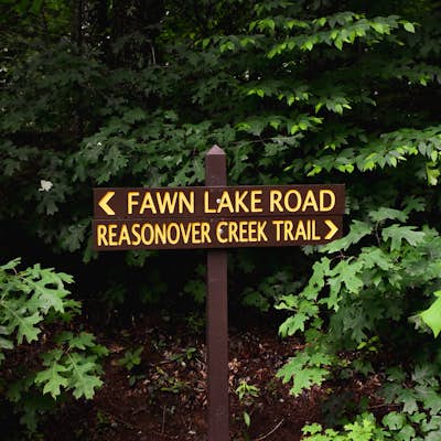 Hike to Fawn Lake