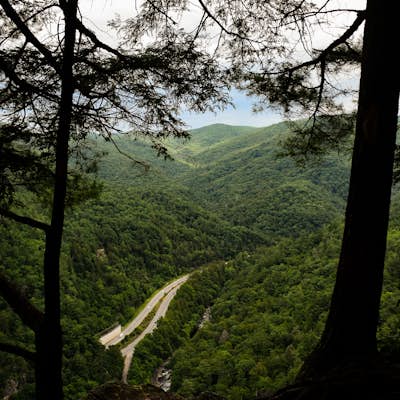 Photograph the Smokies from Buzzards Roost 