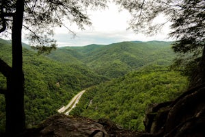 Photograph the Smokies from Buzzards Roost 