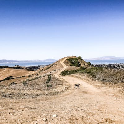 Hike the Wildcat Canyon Loop