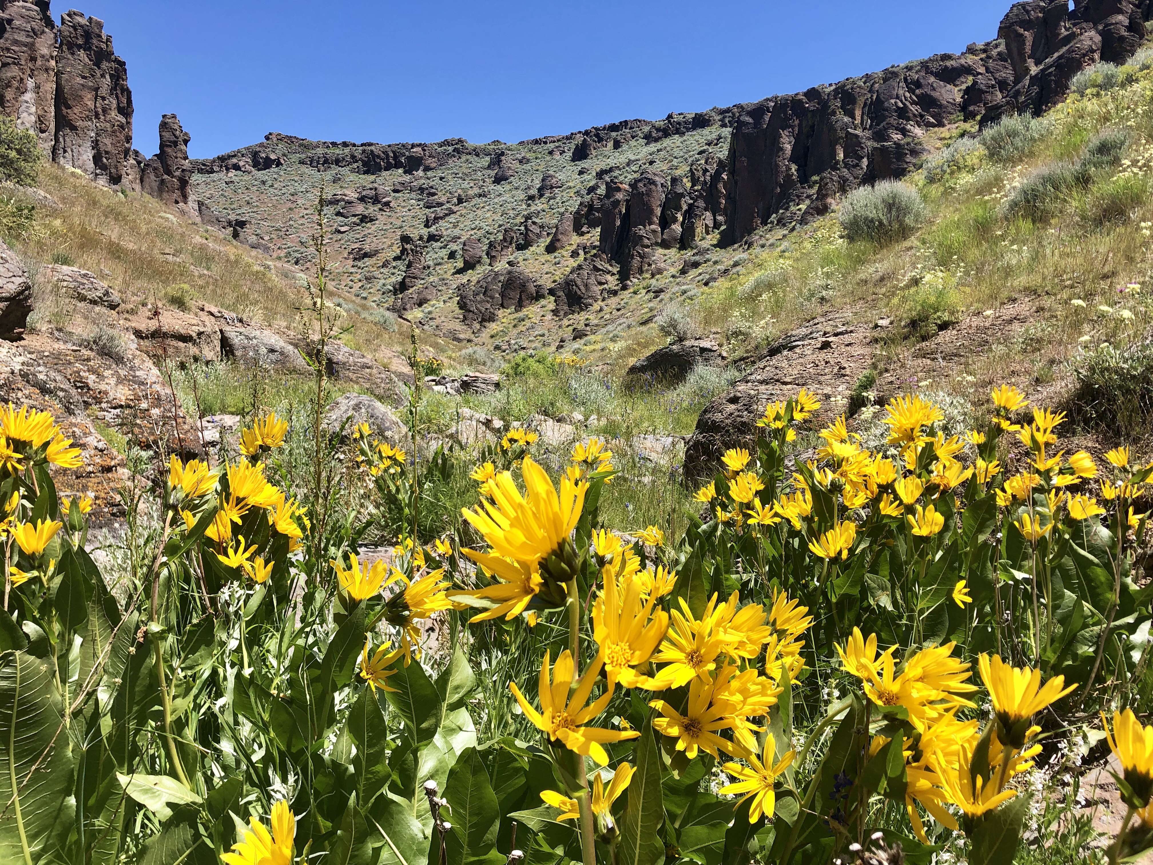 Hike the Little City of Rocks