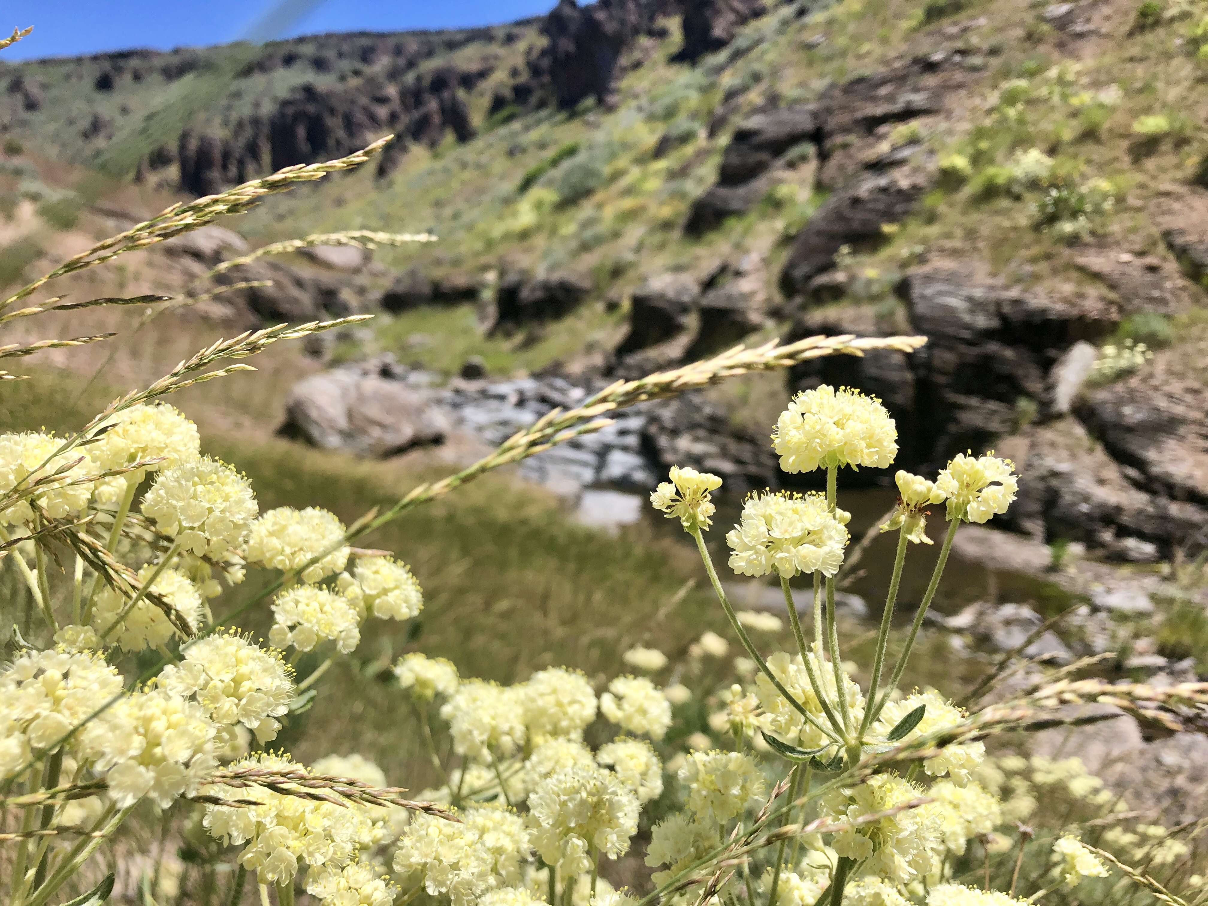 Hike the Little City of Rocks