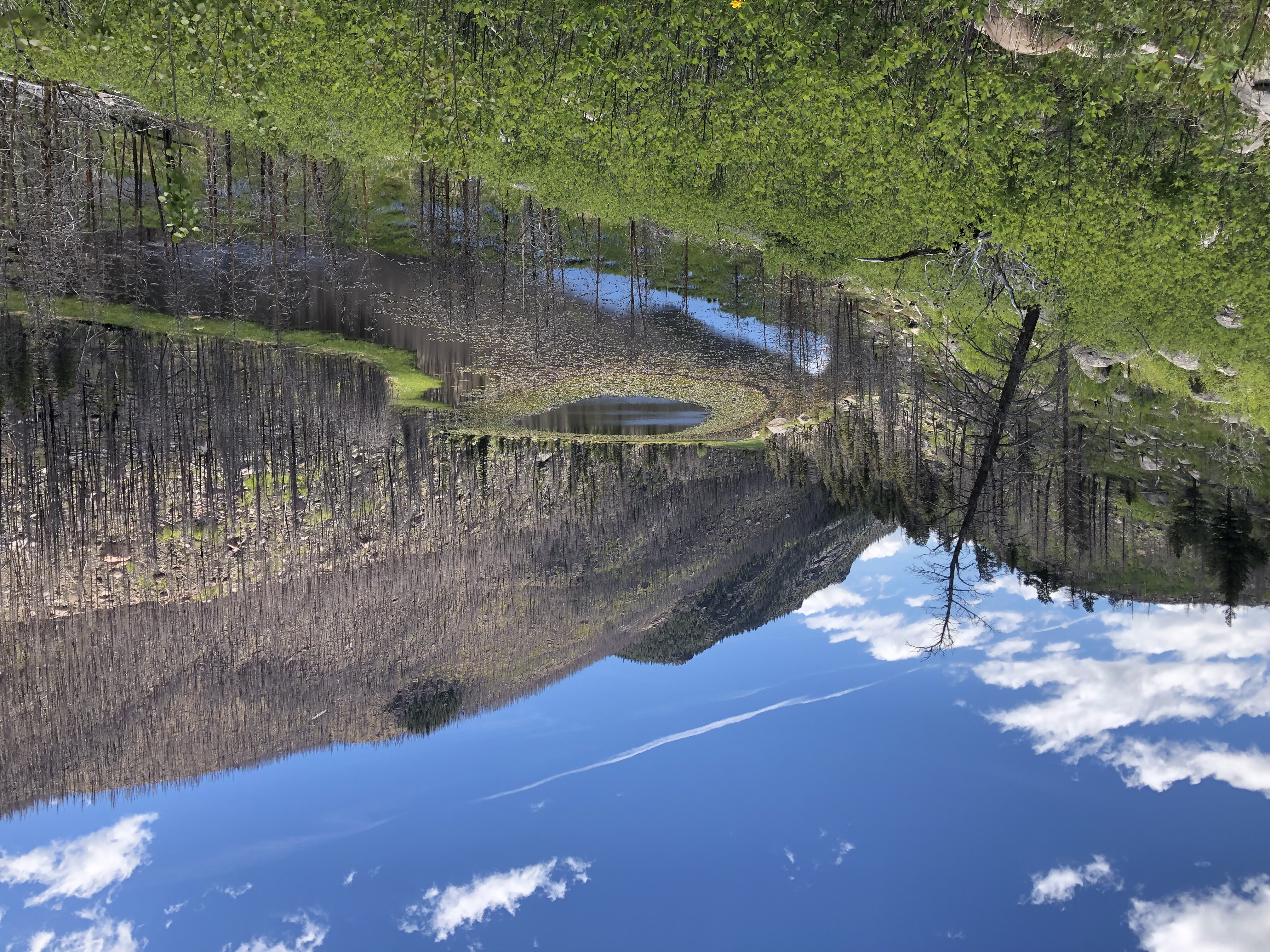 Cub Lake