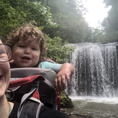 Hike to the Brasstown Falls