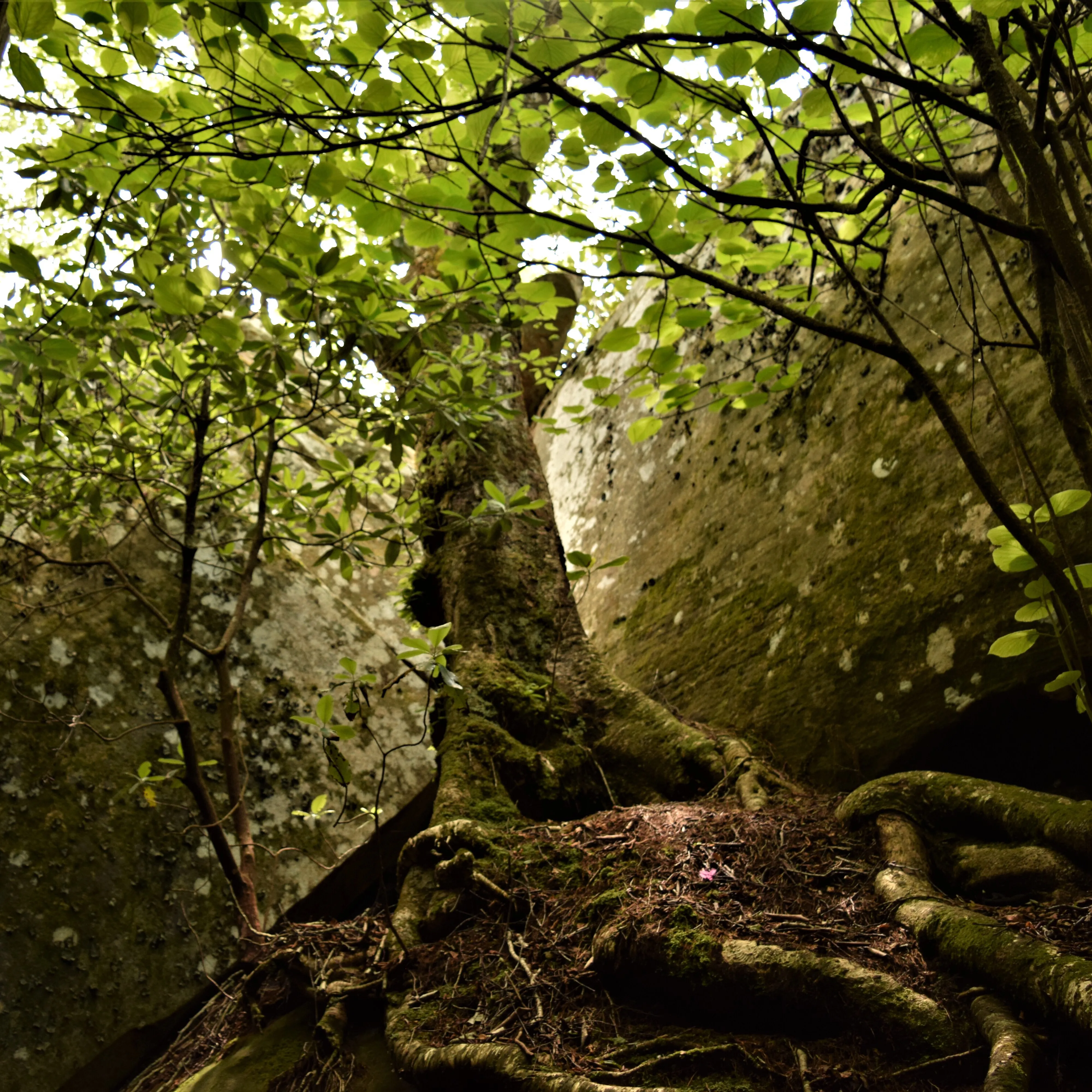 The Great Channels via Hayters Gap