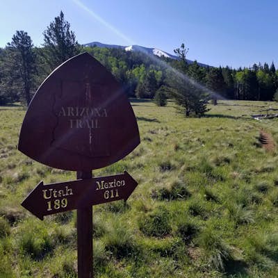 Hike Aspen Corner to Bismark Lake on the Arizona Trail