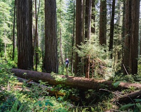 Spend your first weekend in Redwoods National and State Parks 