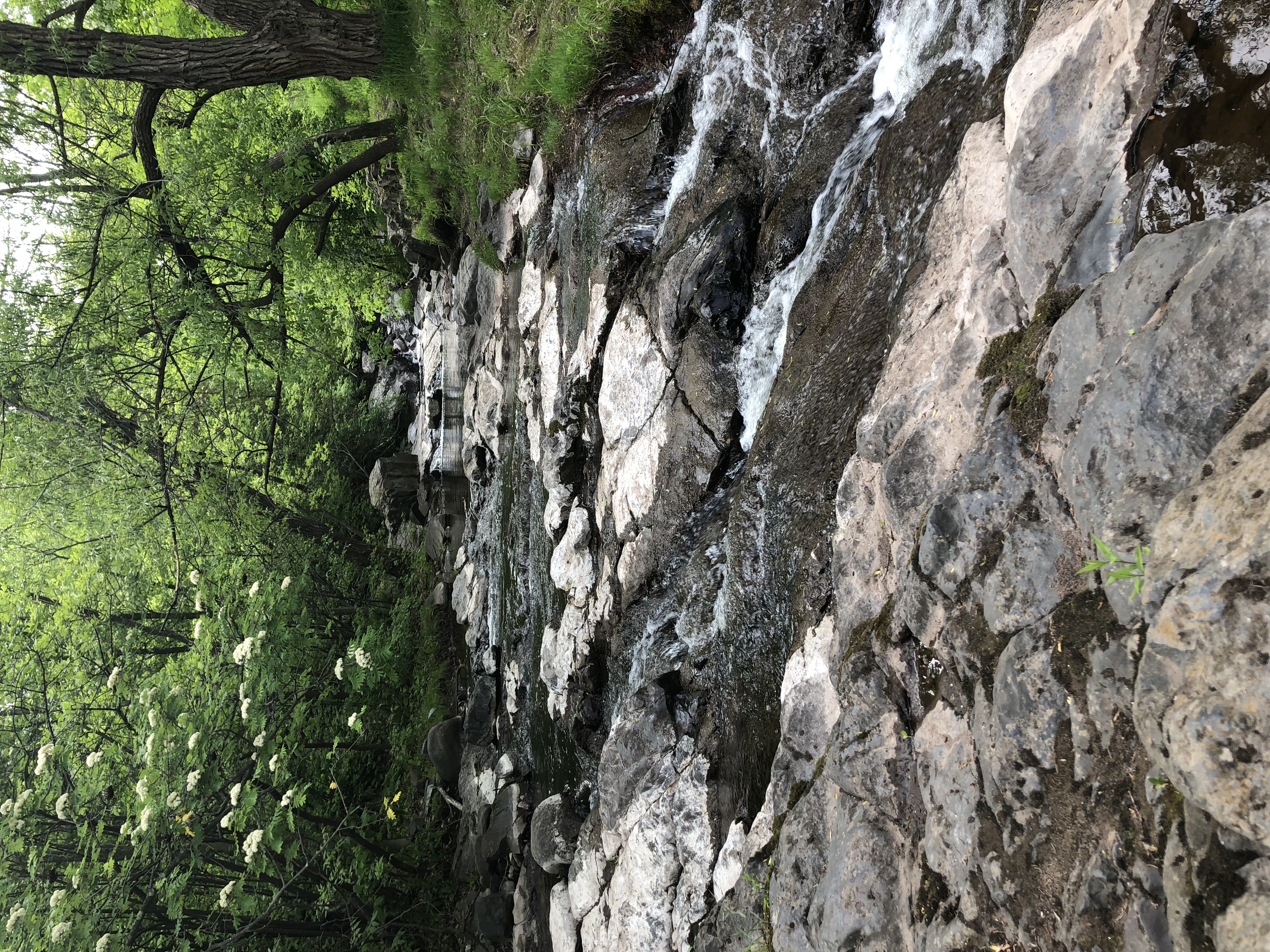 Chester Creek Trail