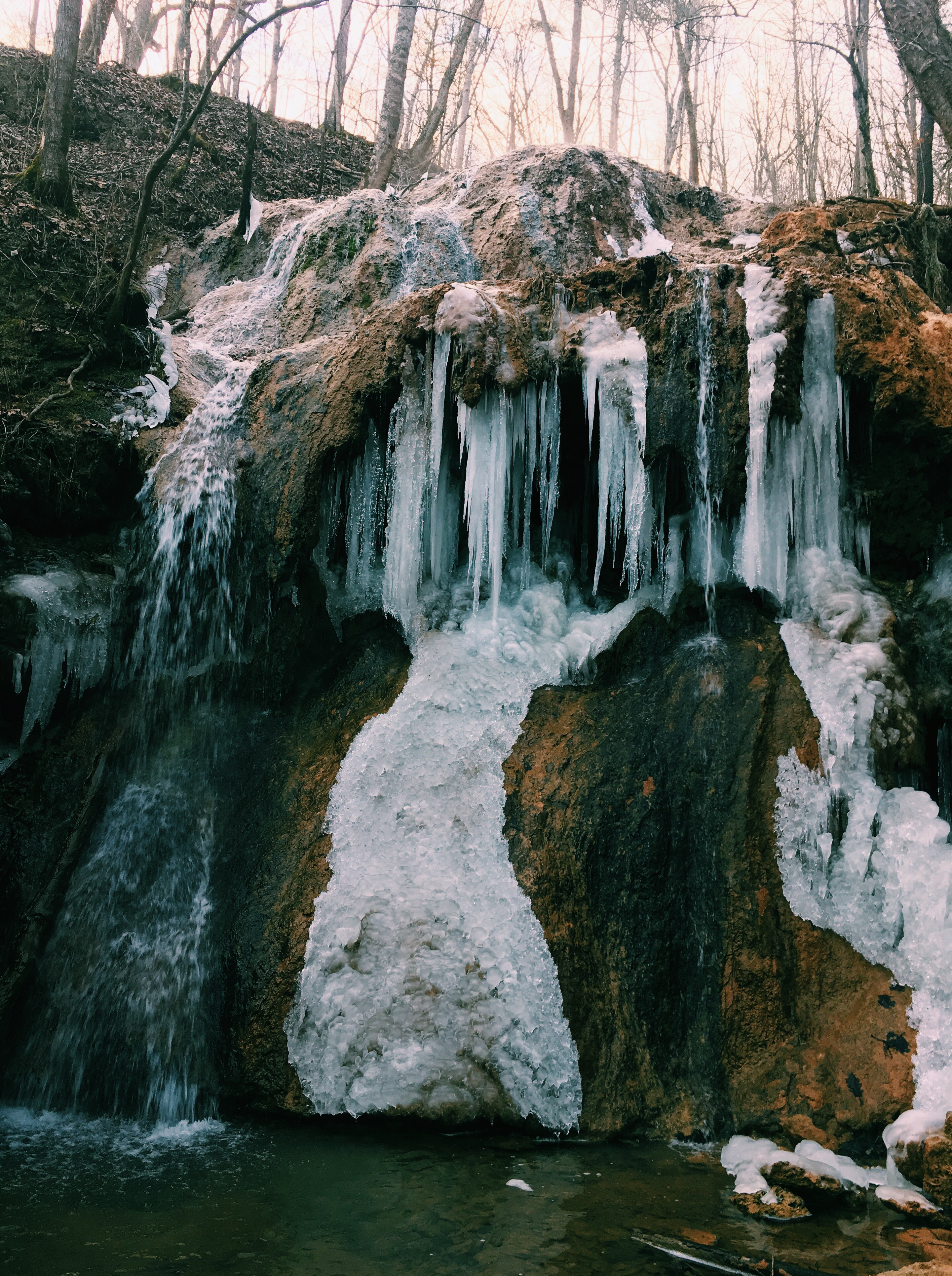 Hike through Falls Ridge Preserve