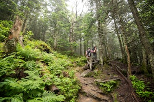 Top 5 Adventures in Vermont