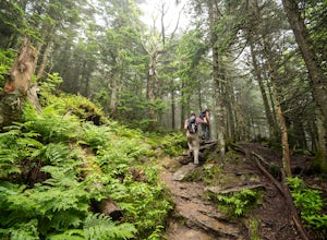 Top 5 Adventures in Vermont
