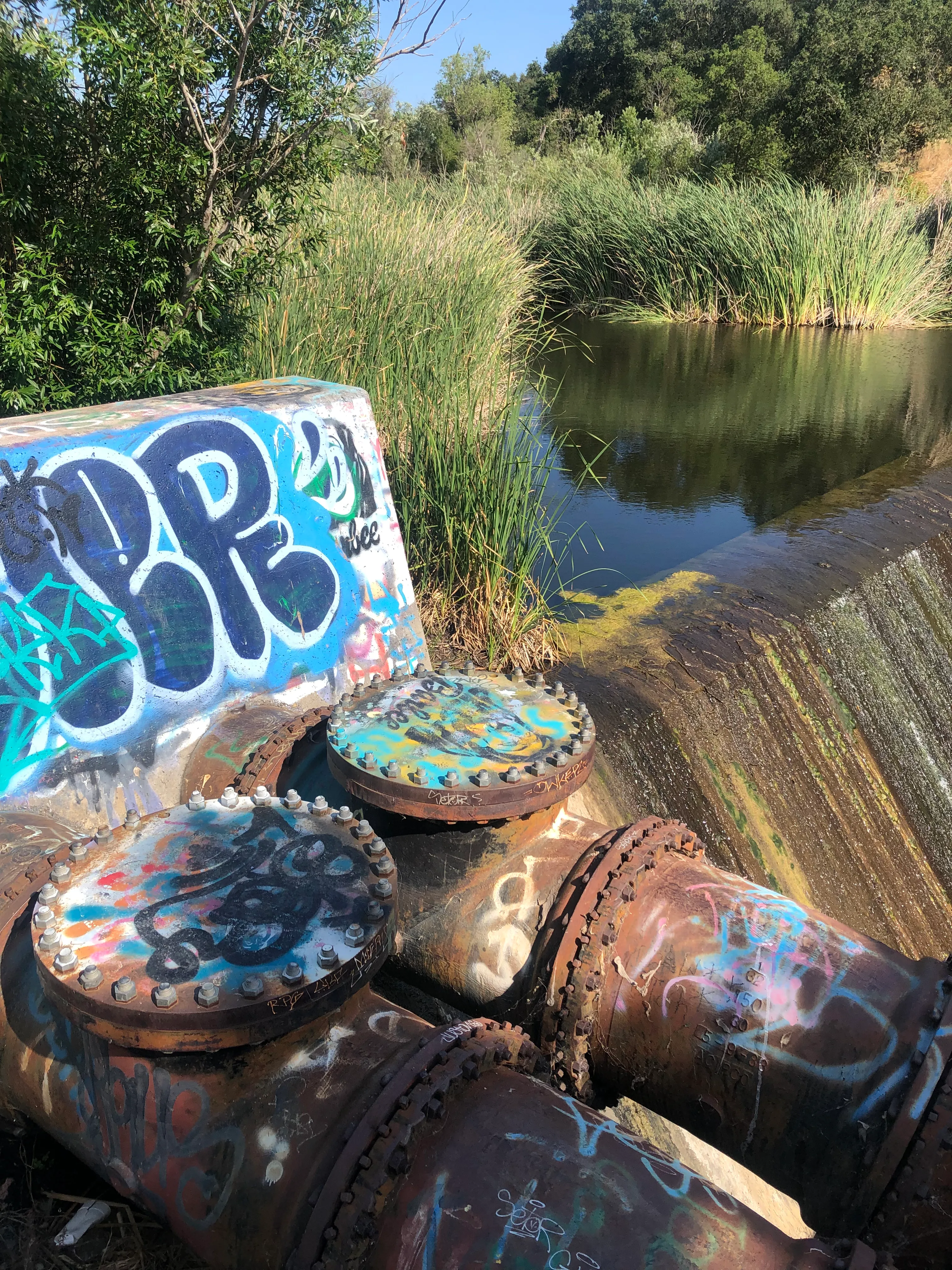 Explore Chambers Hidden Dam and Waterfall