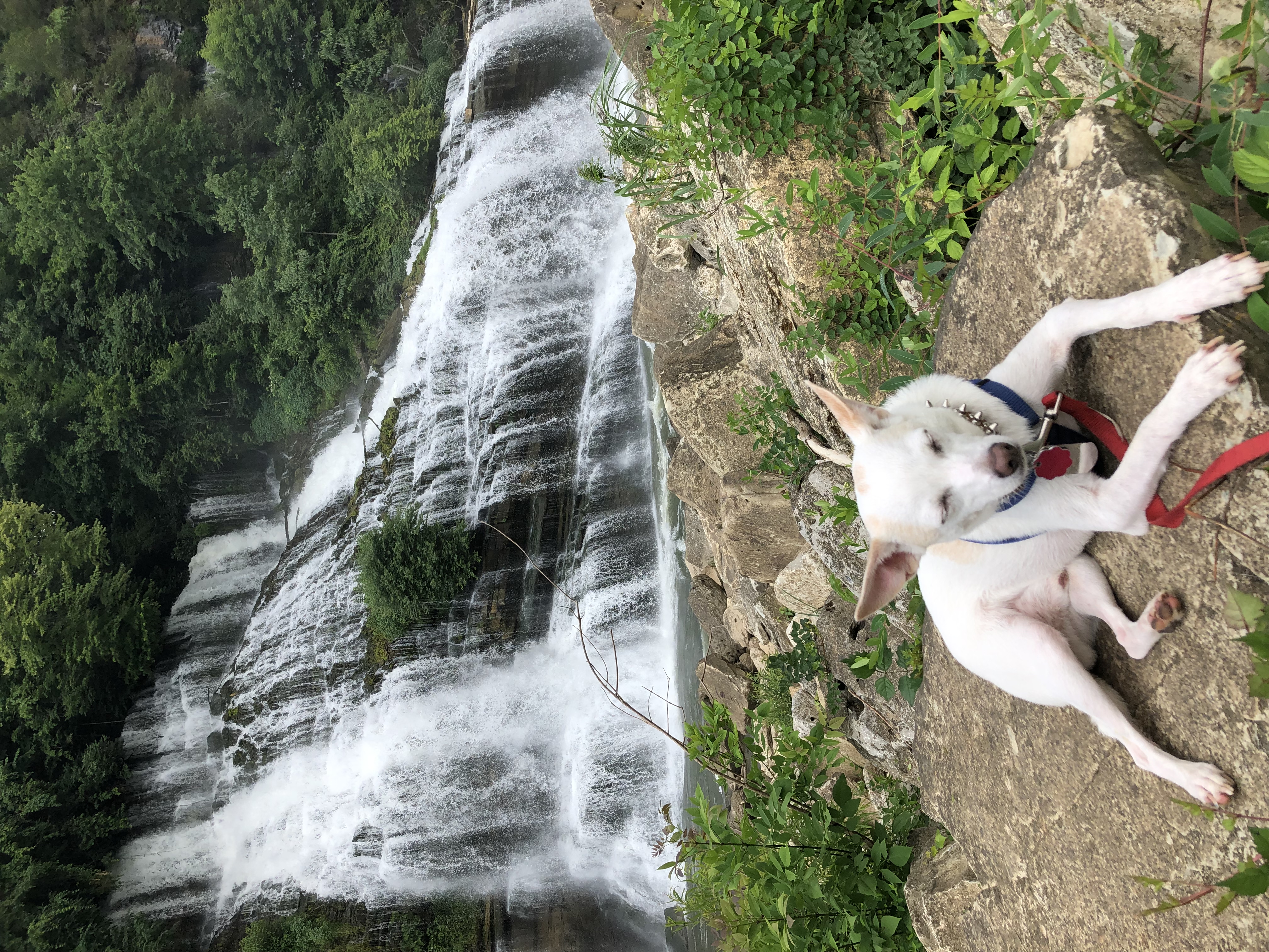 Camp at Rock Island State Park