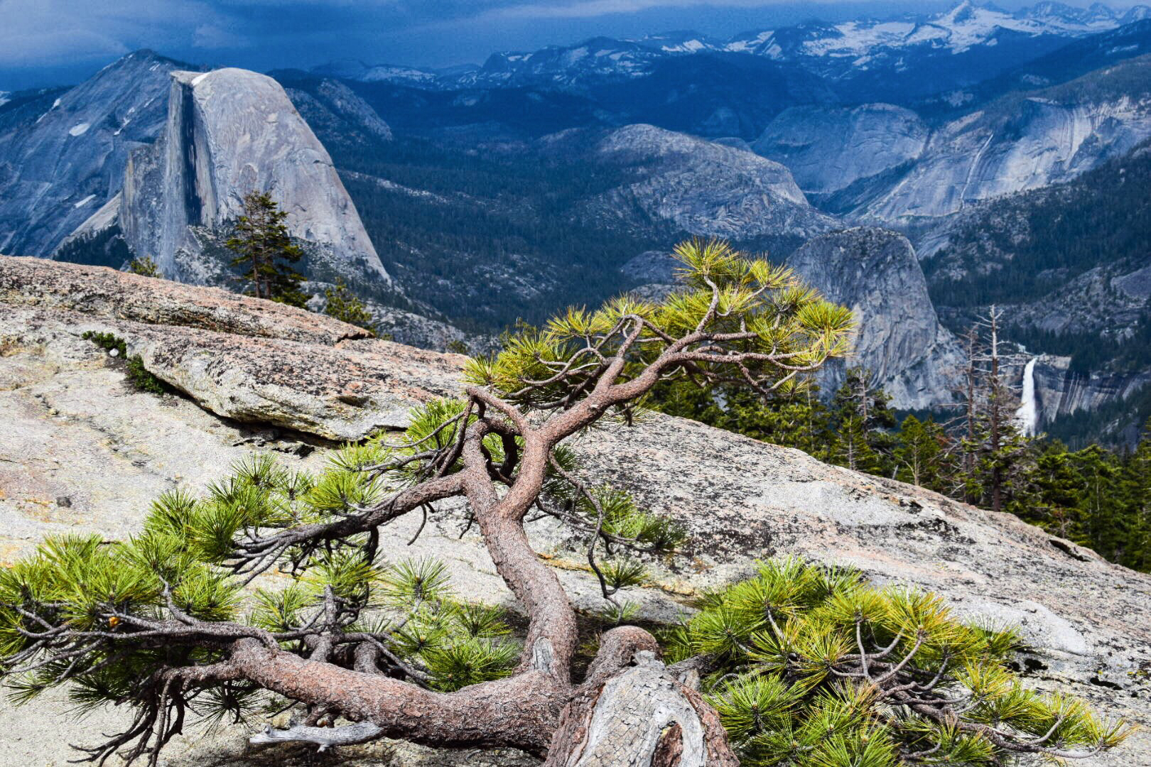 Sentinel Dome Trail