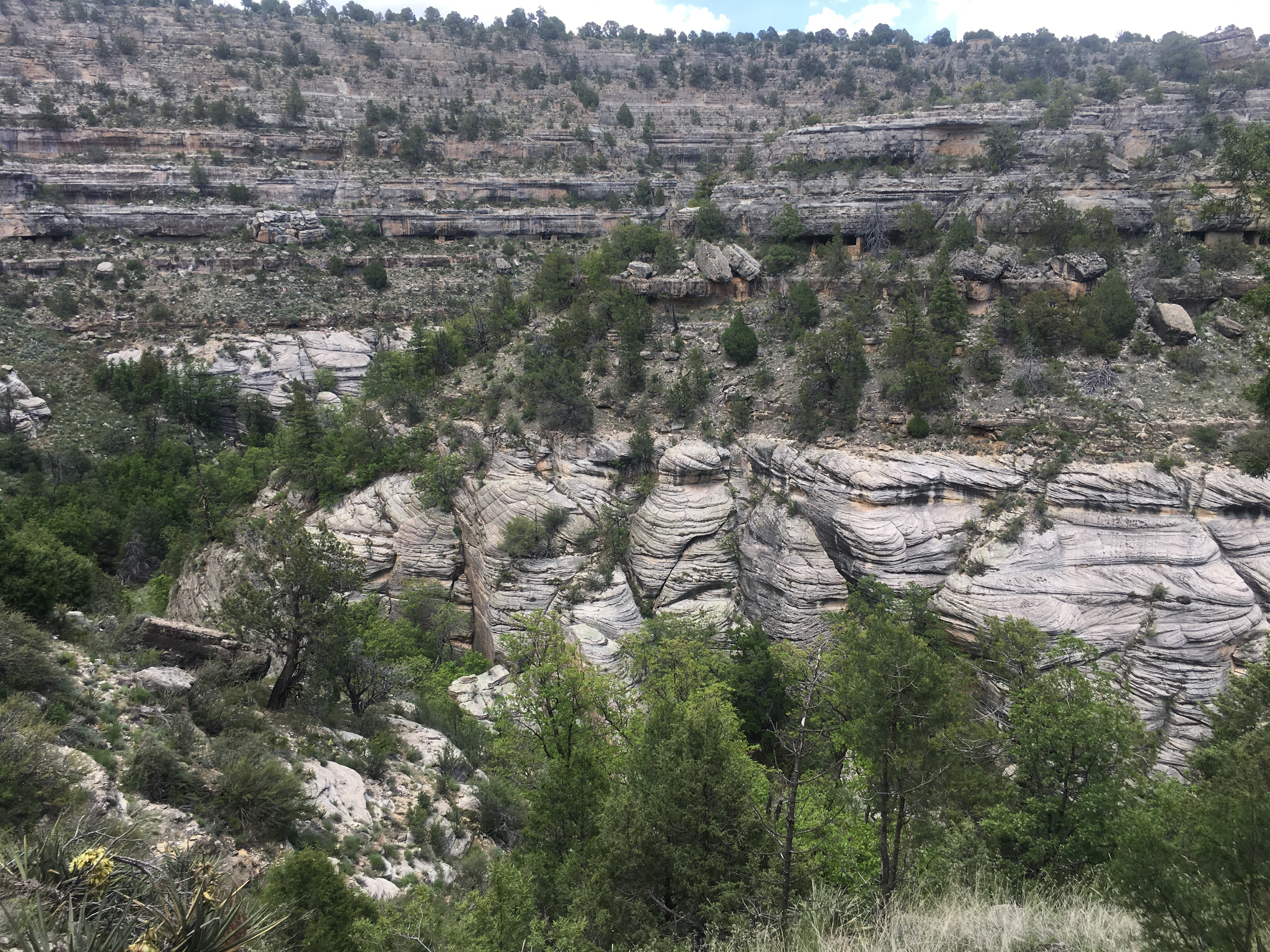 Hike the Island Trail, Walnut Canyon