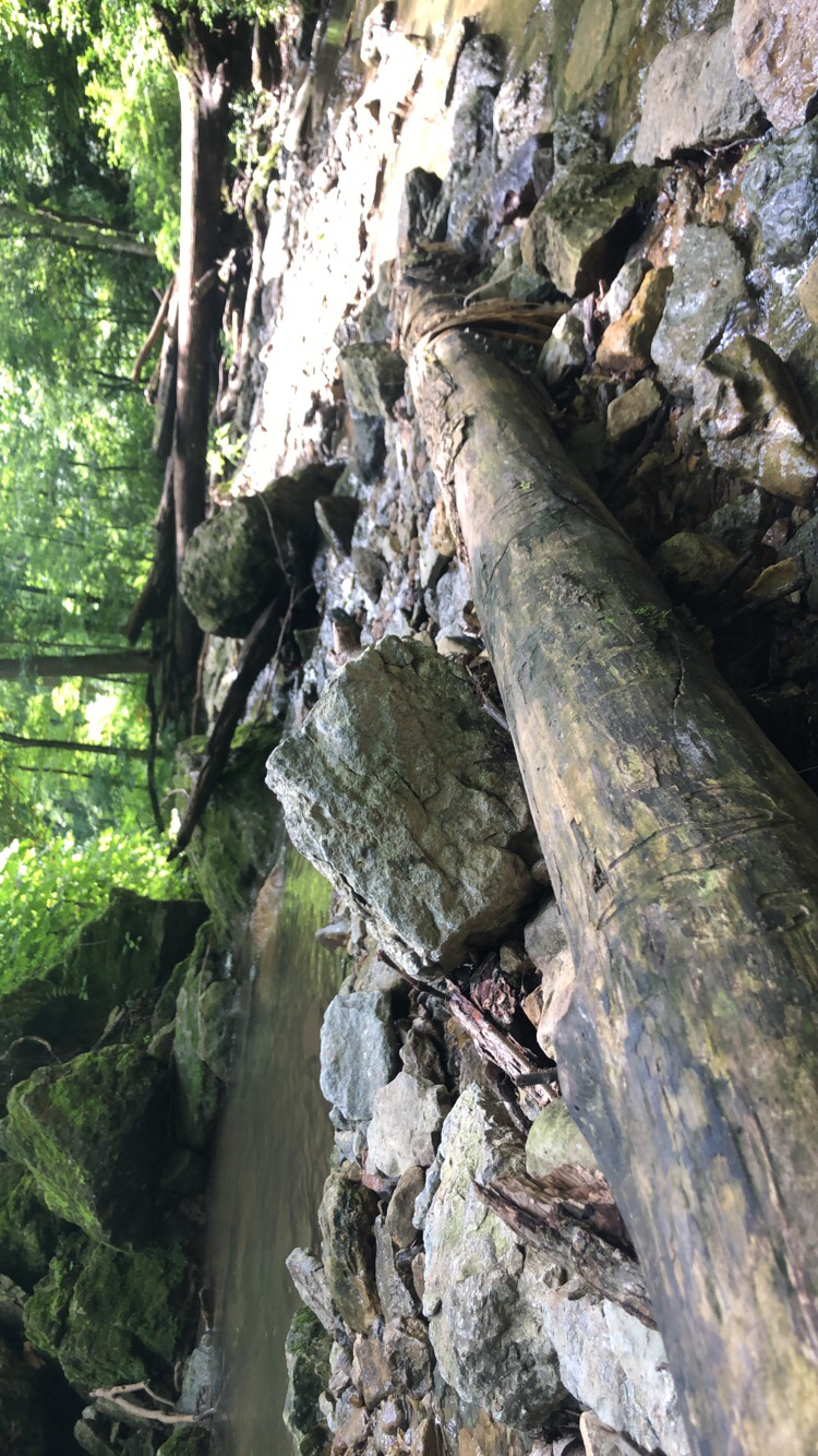 Clifty Falls Loop