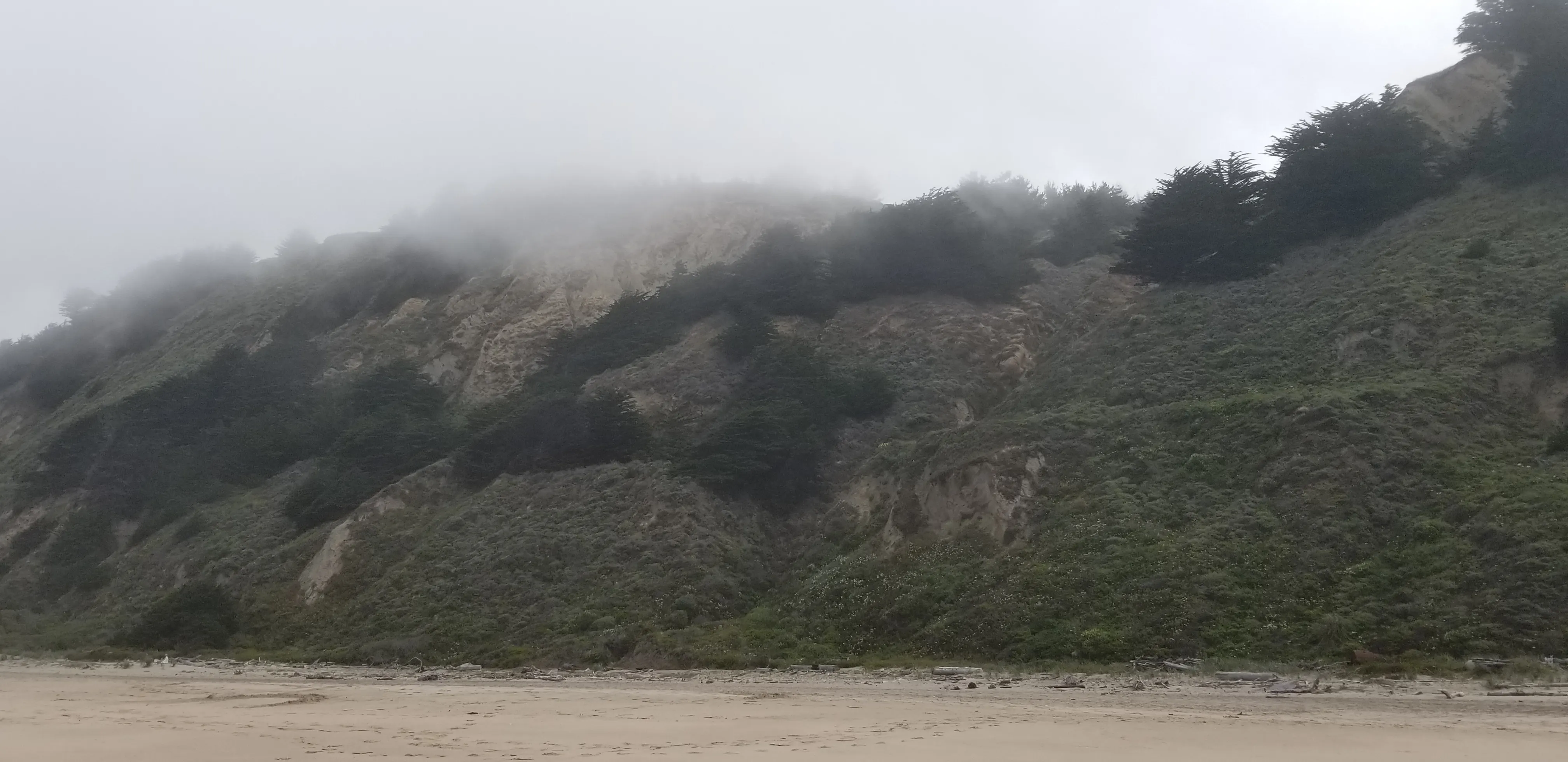 Southern Beaches at San Gregorio State Beach 